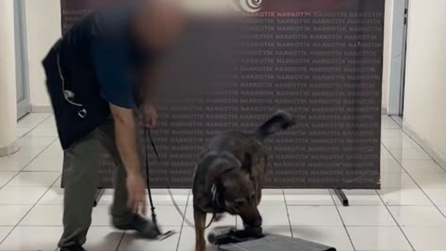 Batman'da akıl almaz sevkiyat yöntemi dedektör köpek Mailo'ya takıldı