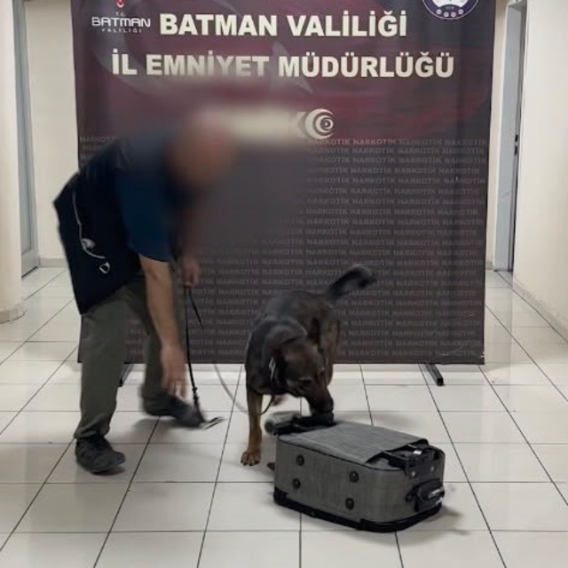 Batman'da akıl almaz sevkiyat yöntemi dedektör köpek Mailo'ya takıldı
