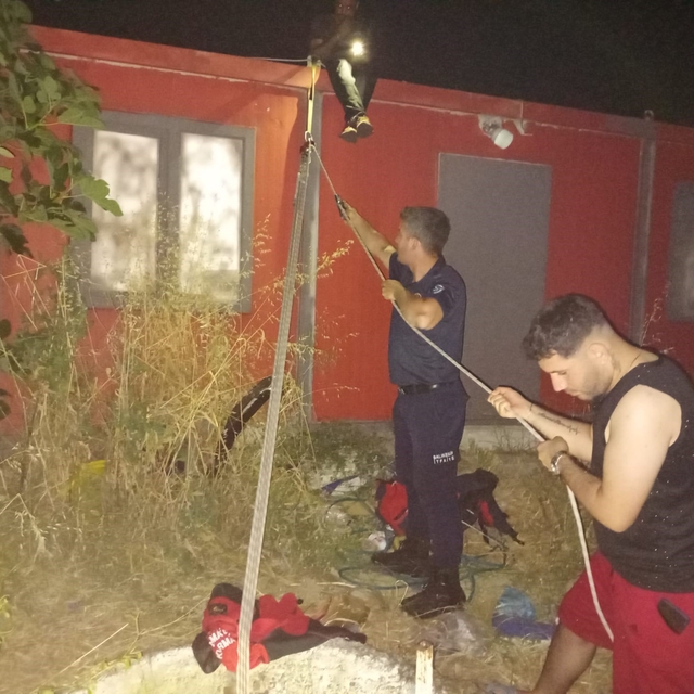Balıkesir'de kuyuya düşen yavru kedi kurtarıldı