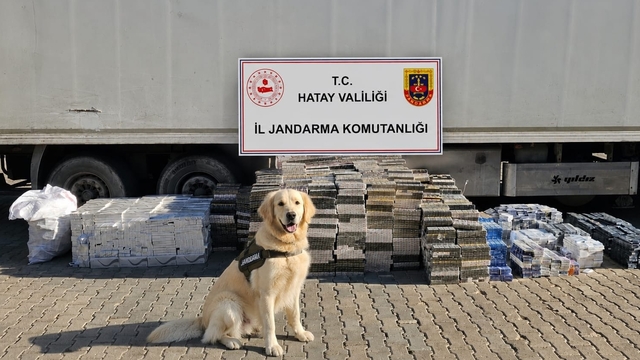 Hatay'da tırda 30 bin paket kaçak sigara ele geçirildi