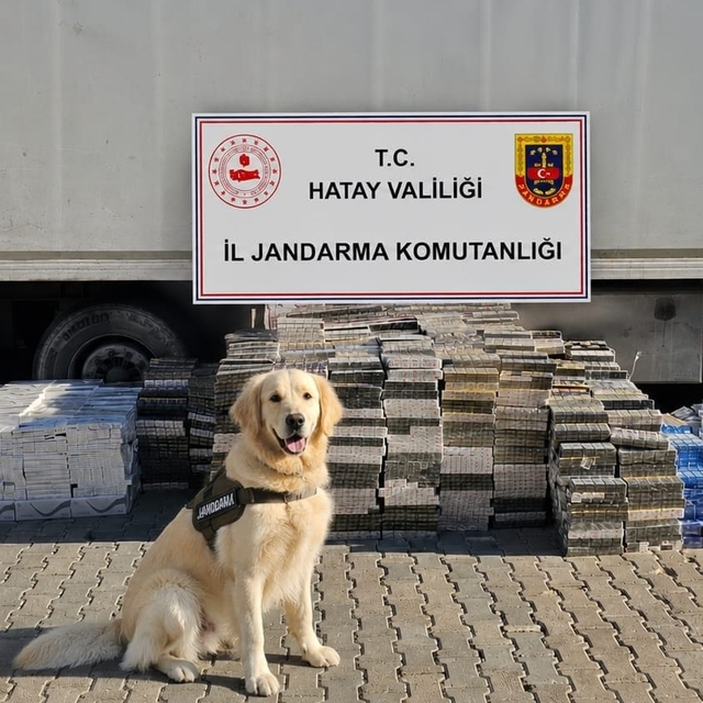 Hatay'da tırda 30 bin paket kaçak sigara ele geçirildi