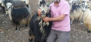 Şavşat Deresi'nde kaybolan babanın cansız bedenine ulaşıldı
