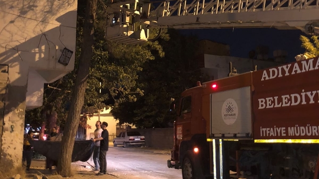 Ağaçta mahsur kalan kediyi itfaiye ekipleri kurtardı