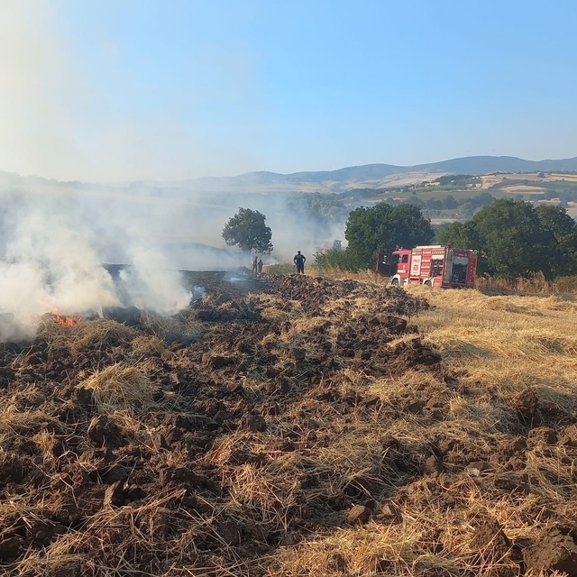 Bandırma'da buğday tarlasında çıkan yangın ekiplerin müdahalesiyle söndürül...