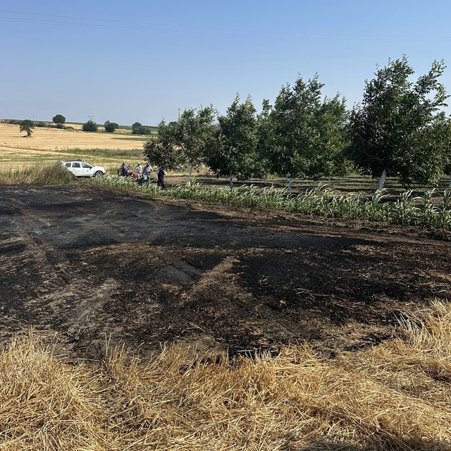Bandırma'da çıkan anız yangını büyümeden söndürüldü