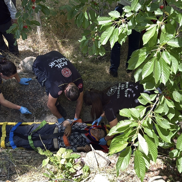 Seydişehir'de kiraz toplamak için çıktığı ağaçtan düşen kişi yaralandı