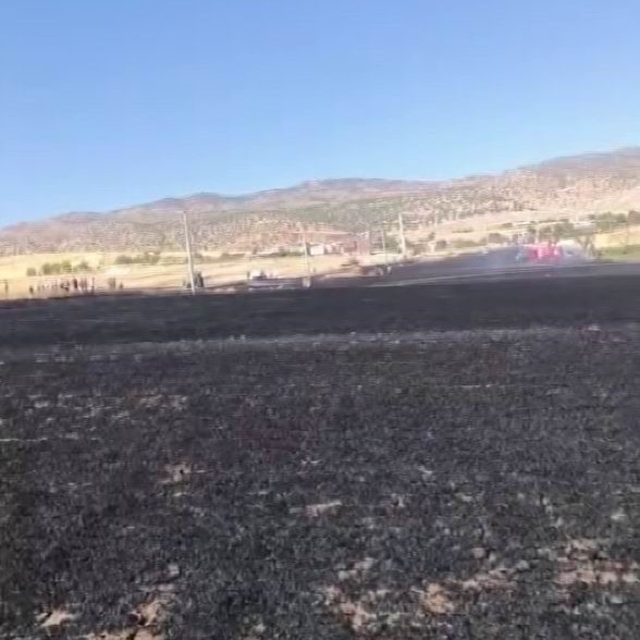 Diyarbakır'da 100 dönümlük alan alevlere teslim oldu