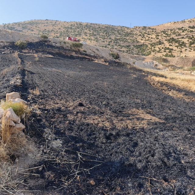 Şırnak'ta çıkan anız yangınında 1 kişi yaralandı