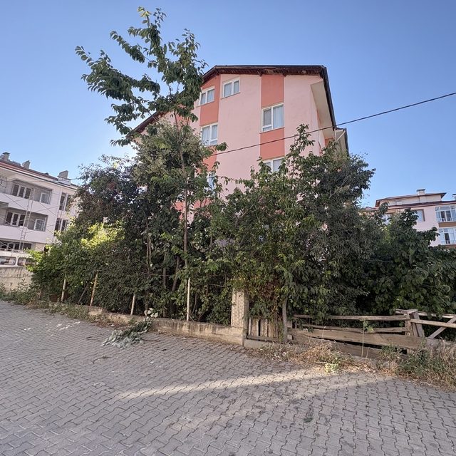 Ihlamur ağacından düşen emekli öğretmen yaralandı