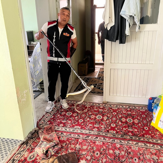 Evde yılan paniği