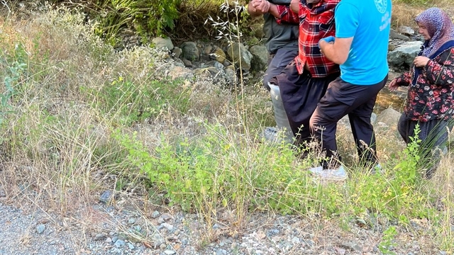 Kozan'da kayalıklardan düşen şahsı orman ekipleri kurtardı