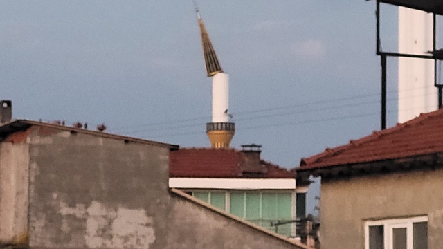 Galeri