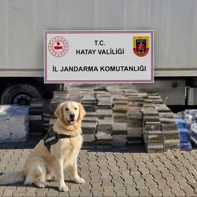 Eşya taşınan tır dorsesinden 3 bin karton kaçak sigara çıktı