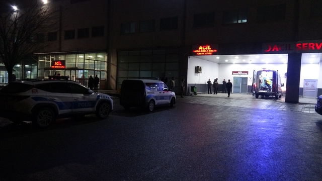Malatya'da "dut ağacı" kavgasında 2 tutuklama