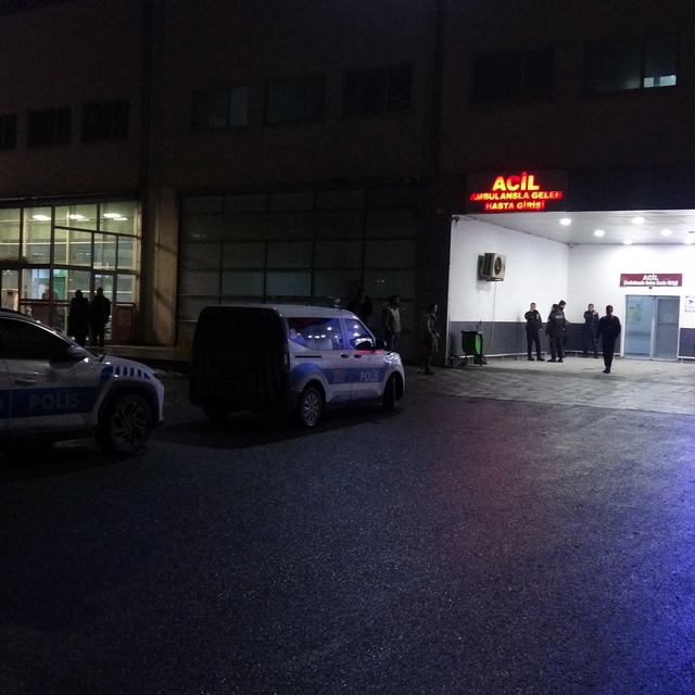 Malatya'da "dut ağacı" kavgasında 2 tutuklama