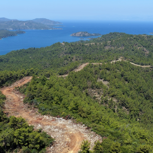 Muğla ve Aydın'da Orman yangın şerit yolu uzunluğu 2 bin kilometreye çıkıyo...