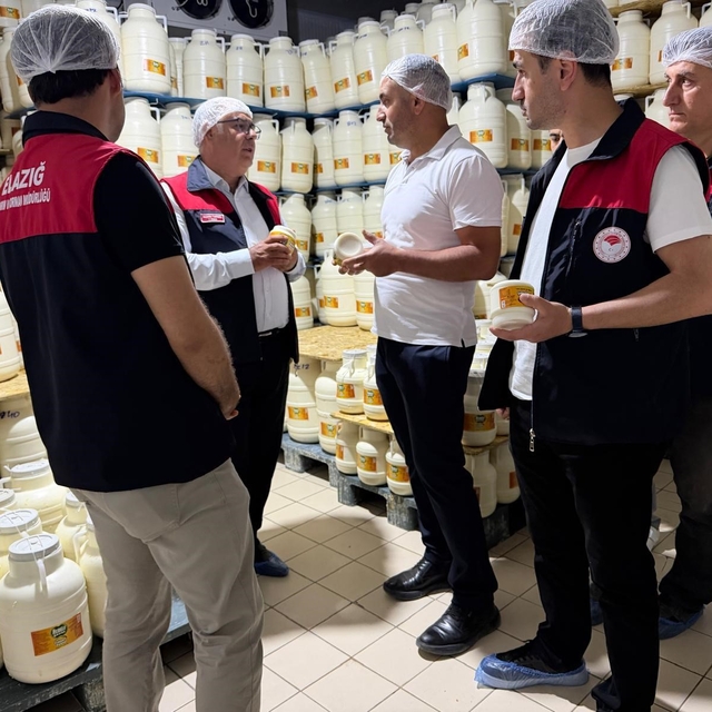 Elazığ'da tulum peynirinde üretim süreci yerinde incelendi