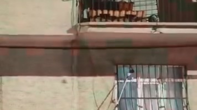 Pencere korkuluğundaki yılan ekiplerce yakalandı