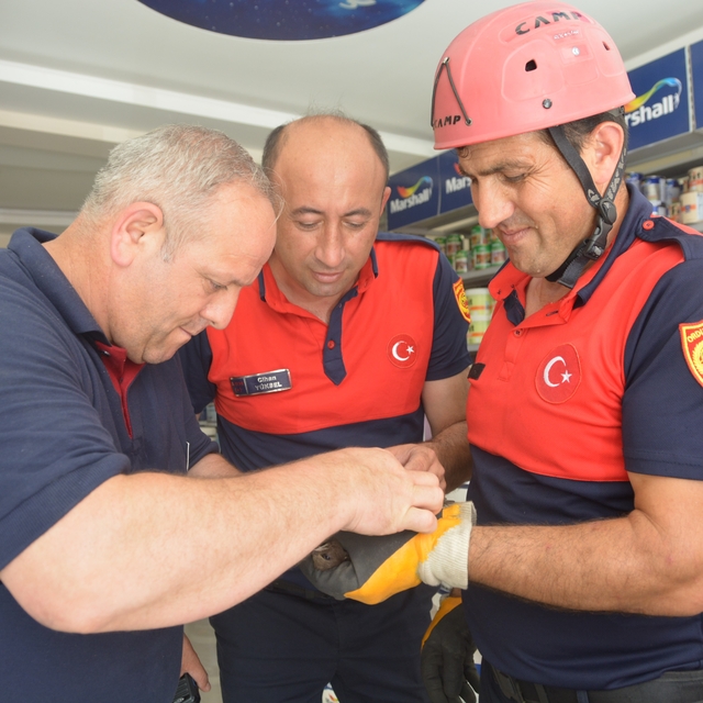 Ordu'da itfaiye ekipleri, ebabil kuşu için seferber oldu