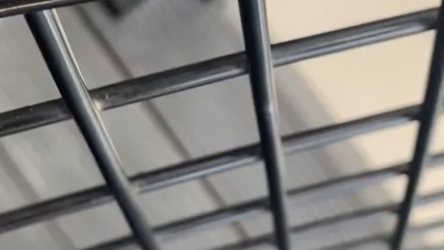 Galeri