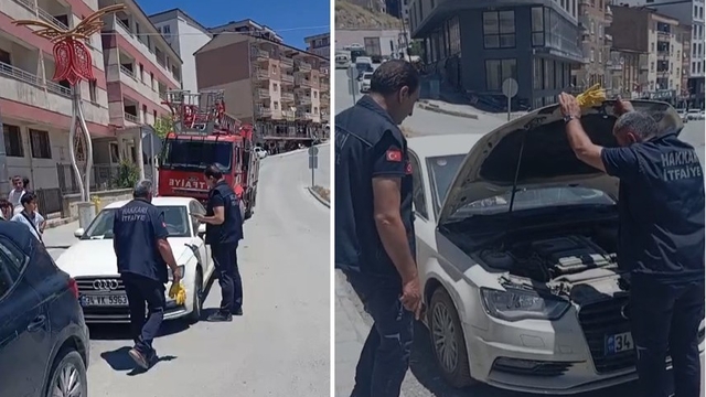 Araca sıkışan yavru kedi itfaiye tarafından kurtarıldı