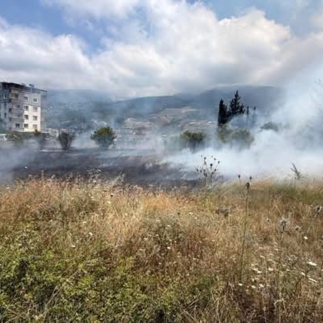 İskenderun'da otluk alan yangını