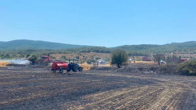 Çanakkale'deki yangında 10 dönüm tarım arazisi zarar gördü
Tarım arazisinde çıkan yangın kontrol altına alındı