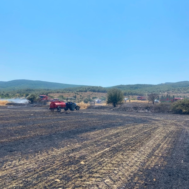 Çanakkale'deki yangında 10 dönüm tarım arazisi zarar gördü
Tarım arazisinde...