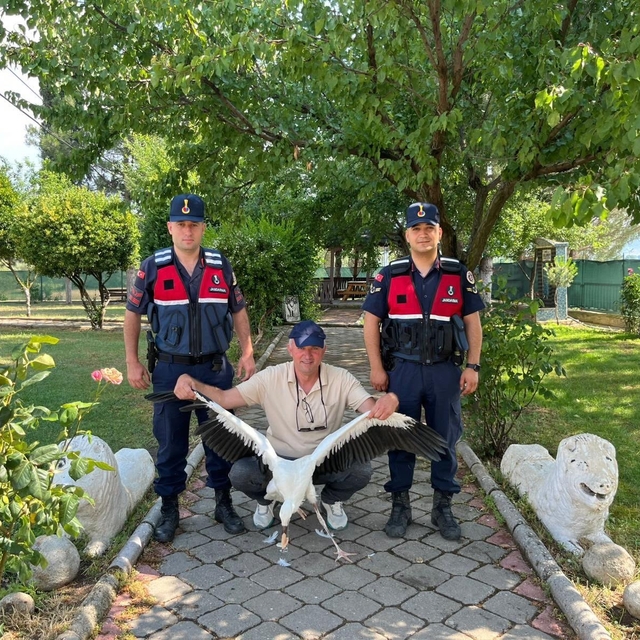 Yaralı leylek için seferber oldular