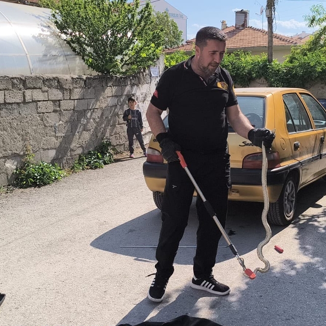 Otomobilin altına giren yılan itfaiye ekiplerince çıkarıldı