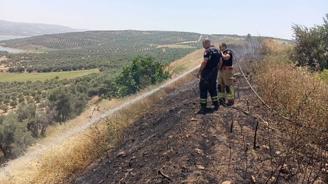Altınözü'de anız yangını