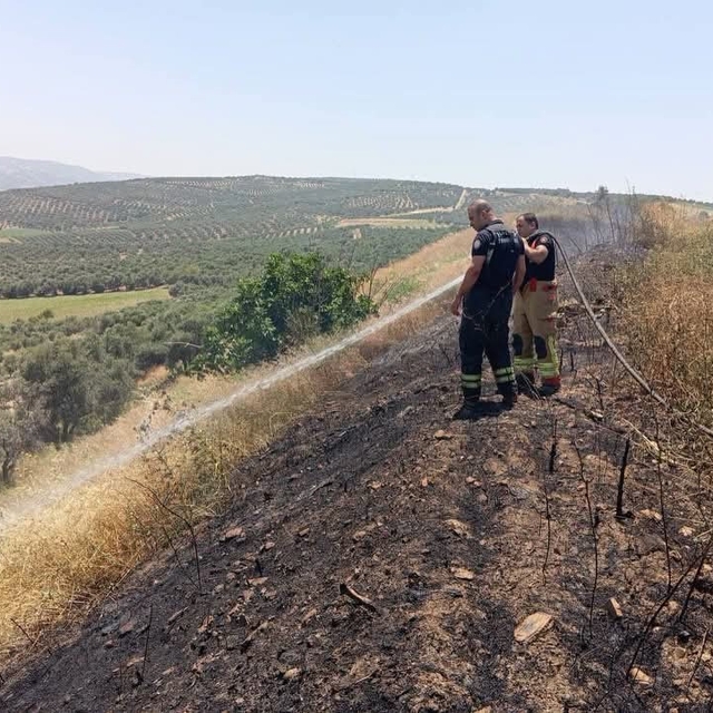 Altınözü'de anız yangını