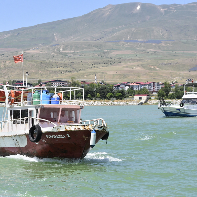 Van Gölü'nde inci kefaline sıkı koruma