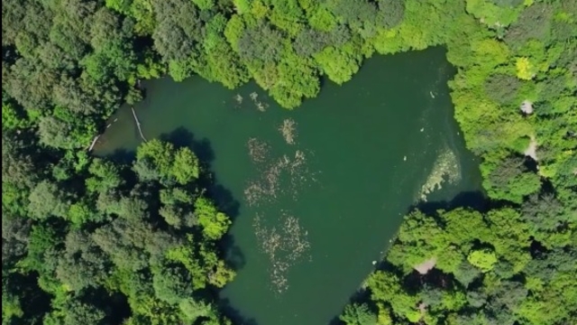 Yedigöller'in eşsiz doğası dronla görüntülendi