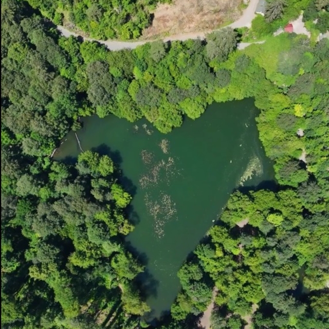 Yedigöller'in eşsiz doğası dronla görüntülendi