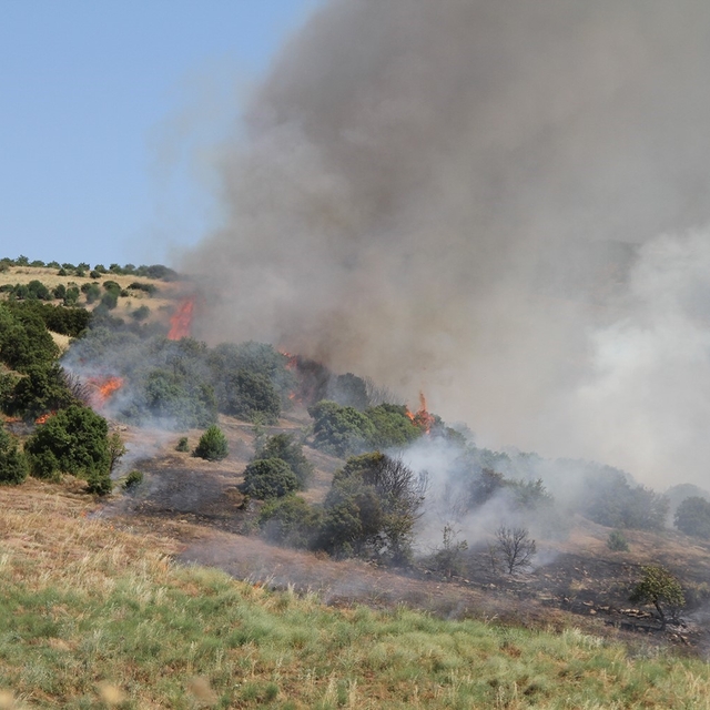 Mahalle ekipleri 28 yangını büyümeden durdurdu