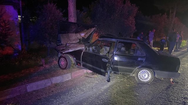Sokak köpeğinden kaçmak isteyen otomobil ağaca çarptı: 1'i ağır 2 yaralı