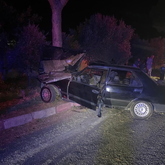 Sokak köpeğinden kaçmak isteyen otomobil ağaca çarptı: 1'i ağır 2 yaralı
