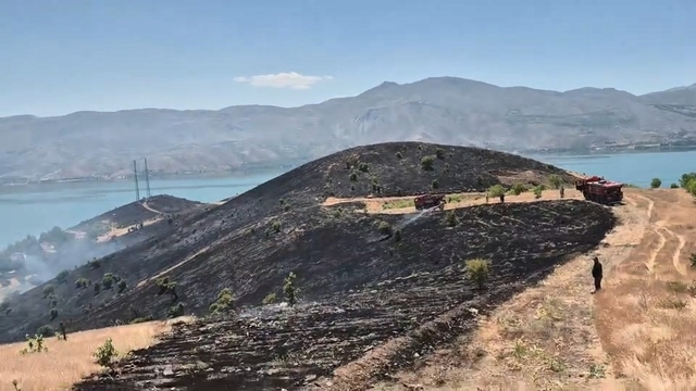 Elazığ'da çıkan arazi yangını söndürüldü