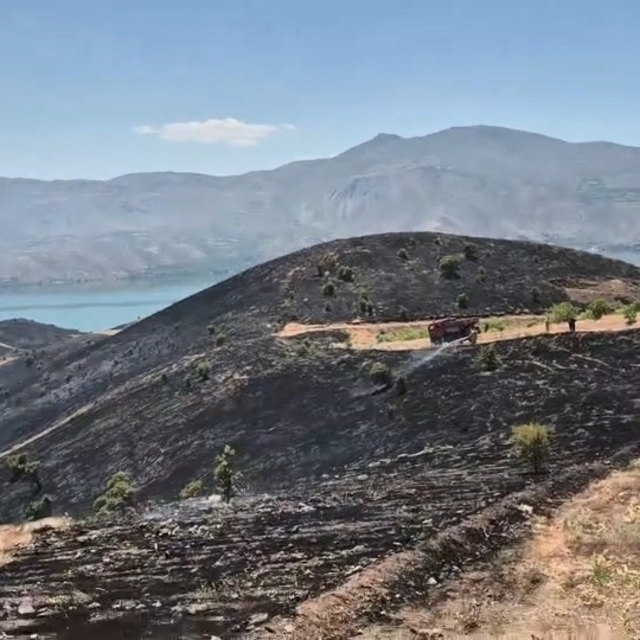 Elazığ'da çıkan arazi yangını söndürüldü