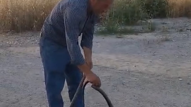 Muhtar, evlere giren yılanları yakalayıp doğaya bırakıyor