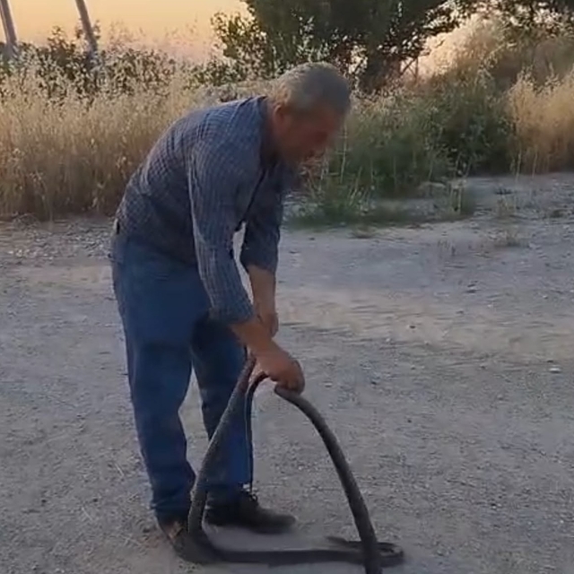 Muhtar, evlere giren yılanları yakalayıp doğaya bırakıyor