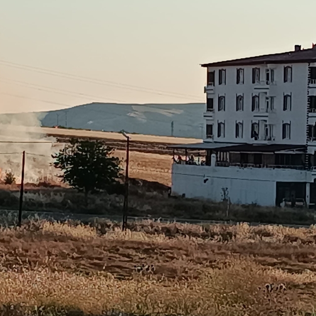 Elazığ'da buğday tarlasında yangın