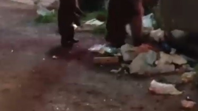 Kars'ta vatandaş ayılara türkü söyledi, o anlar sosyal medyayı salladı