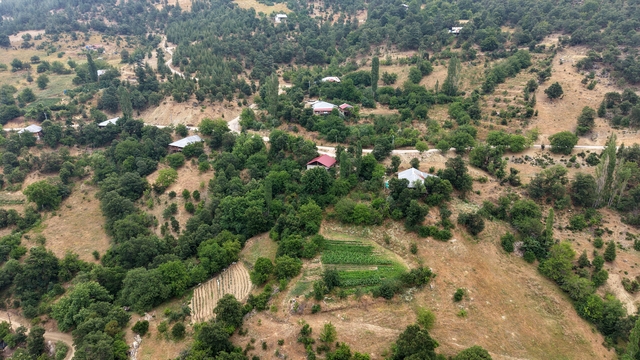 Feke'nin dağ köyünde sarı kantaron ve kekik geleneksel yöntemlerle şifa kaynağına dönüşüyor
Köylüler, doğadan topladıkları bitkileri 40 gün güneşte bekletip doğal yağ elde ediyor