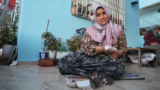 Anneleri telef olan yavru kedileri merhametiyle büyüten kadın, hayvanları biberonla besliyor