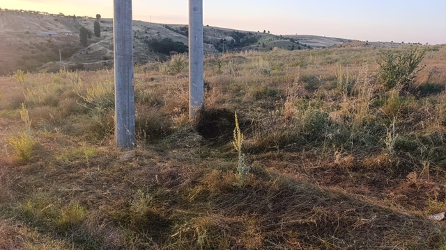 Bilecik'te elektrik akımına kapılan kuş yangına sebep oldu