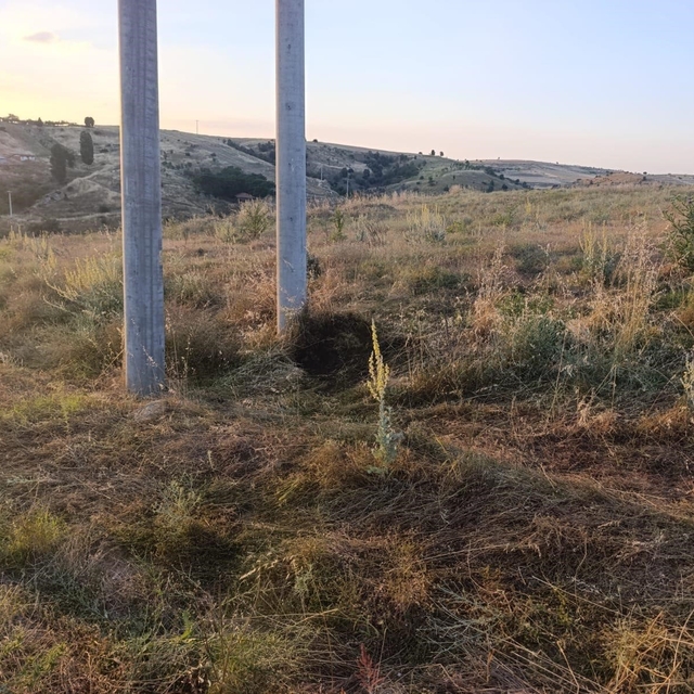 Bilecik'te elektrik akımına kapılan kuş yangına sebep oldu