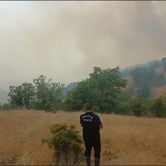 Malatya'da orman yangını