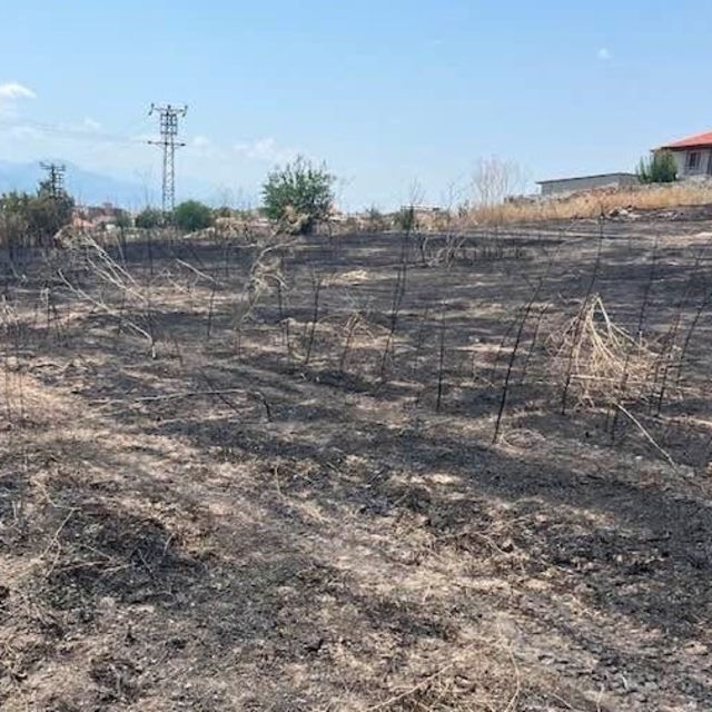 Otluk alanda çıkan yangın büyümeden söndürüldü
